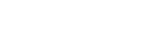 logo v2 white